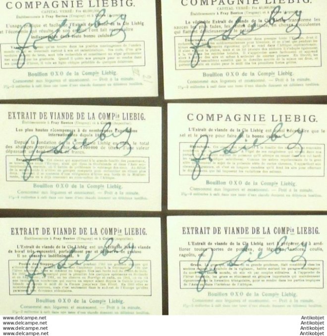 Chromo Liebig Sang 1122 La migration des oiseaux (1921)