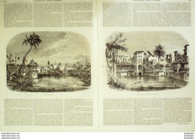 L'Illustration 1849 n°351 Egypte Le CAIRE BIRKET El GINNAH Henri GERENTE La CALECHE