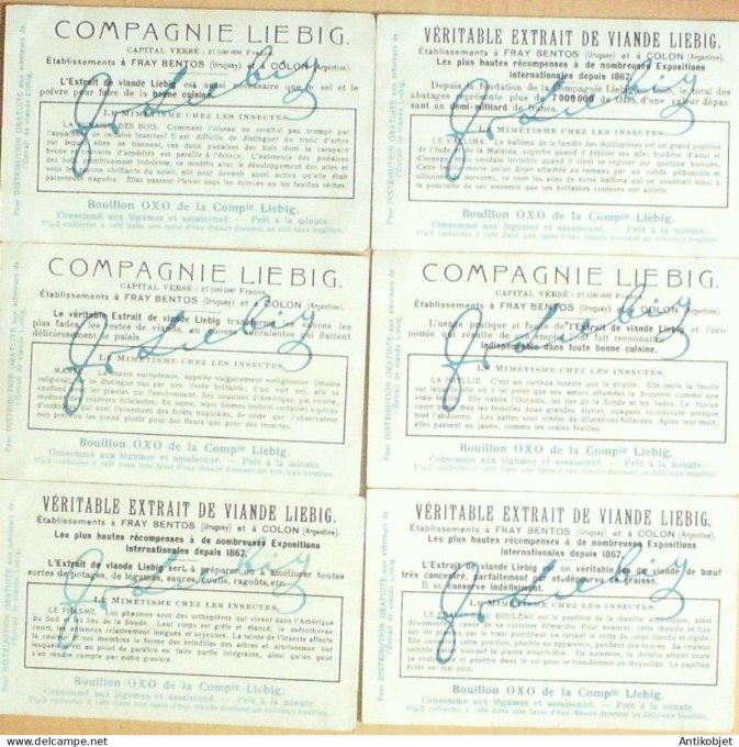 Chromo Liebig Sang 1065 Mimetisme chez les insectes (1913)