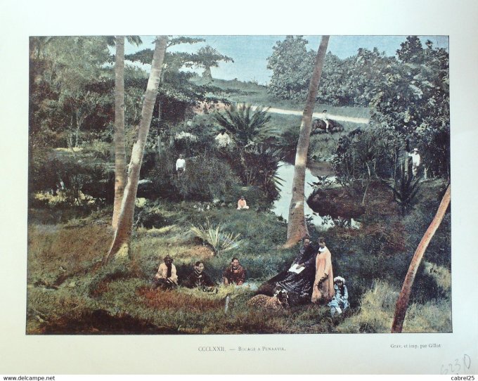 Polynésie PUNAAVIA Bocage