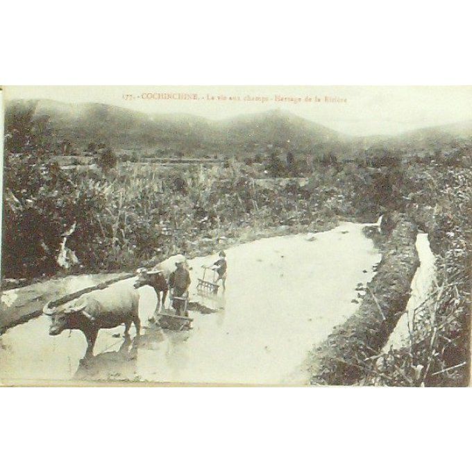 Cpa Viet-Nam Hersage De La Riviere 19055