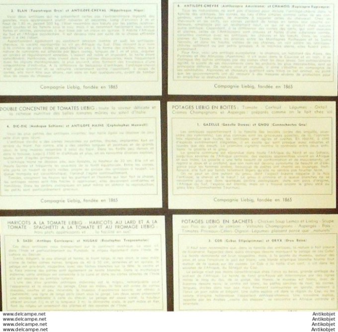 Chromo Liebig Sang 1559 Les Antilopes (1953)