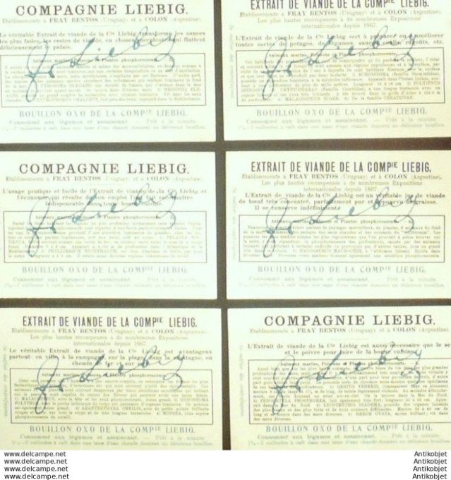 Chromo Liebig Sang 1133 Animaux marins poissons & plantes (1922)