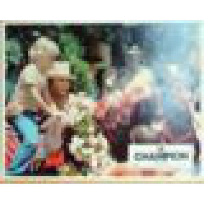 Le Champion Faye Dunaway 1975