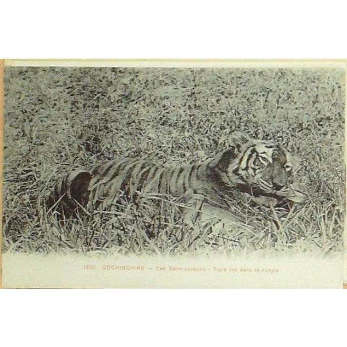 Cpa Viet-Nam Saigon Cap St Jacques Tigre 1908