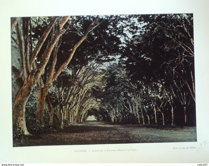 Polynésie PARE avenue de la FAUTAUA