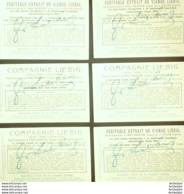 Chromo Liebig Sang 1072 Les Felides (1913)