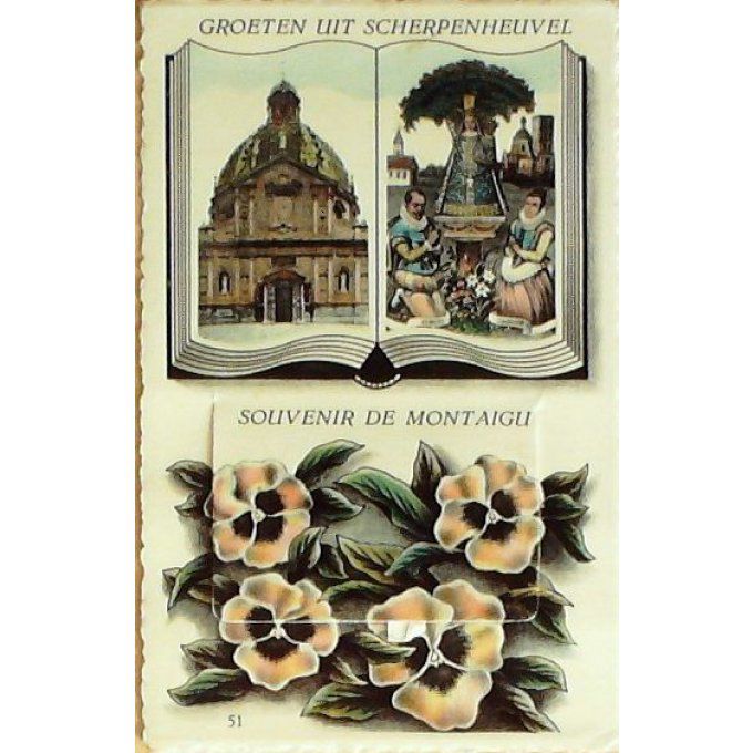 Carte Postale (système) MONTAIGU (BELGIQUE) 10 vues 1950