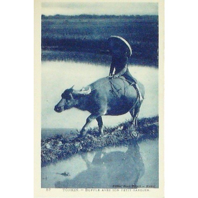 Cpa Chine Tonkin Gardien Sur Son Buffle 1920