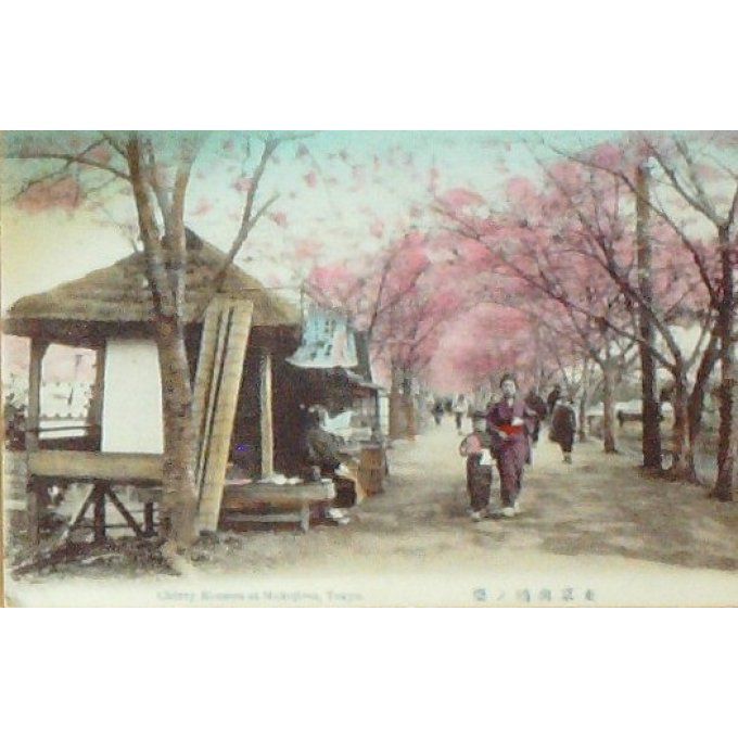 Cpa Japon Tokyo Mukojima Cerisiers 1908