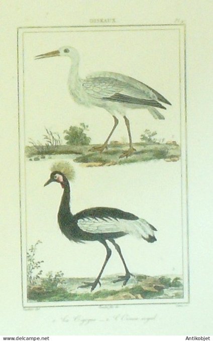 Cigogne oiseau Royal 1833 Vauthier-Buffon