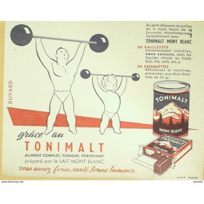 Buvard MONT BLANC TONIMALT