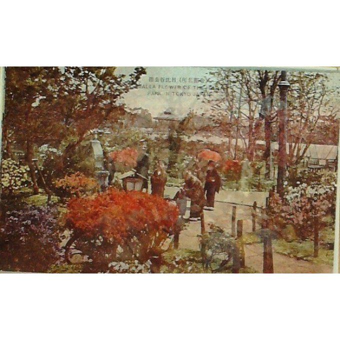 Cpa Japon Tokyo Parc D'azalées 1930