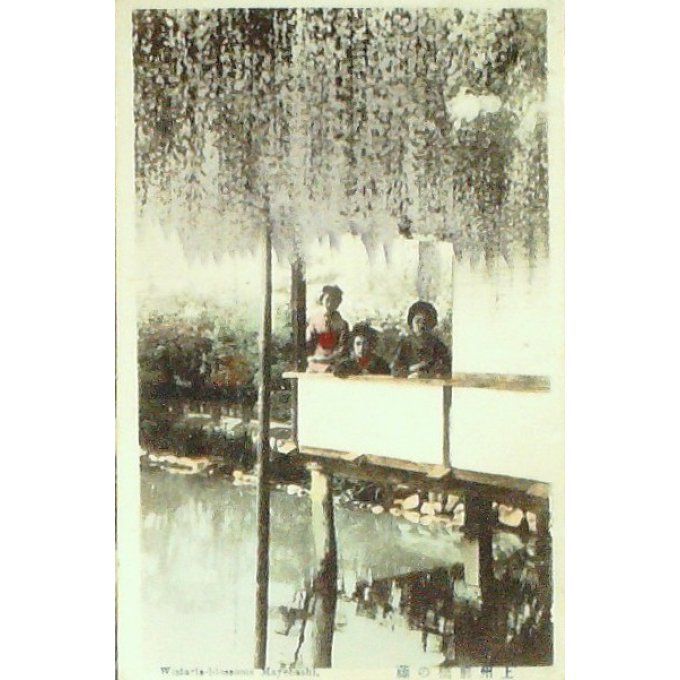 Cpa Japon Mayebashiwistaria Blossoms 1913
