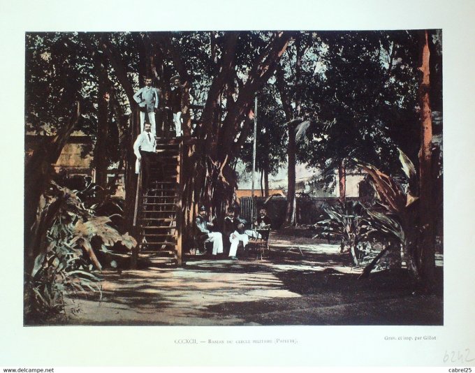 Polynésie PAPEETE Banian du cercle militaire