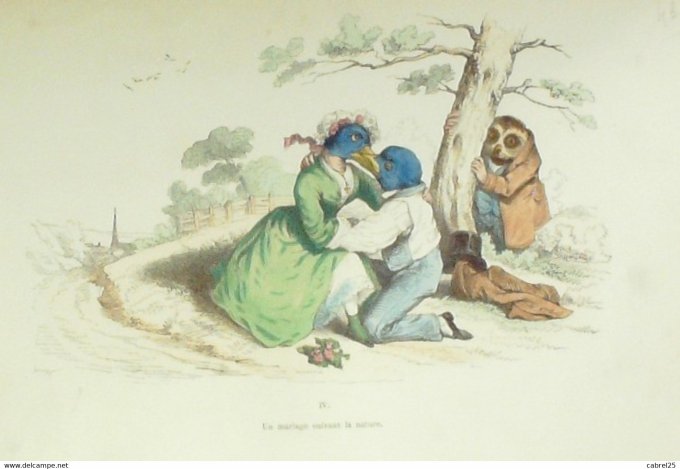 Grandville "Les Métamorphoses du jour" IVB Chouette Oiseaux 1847