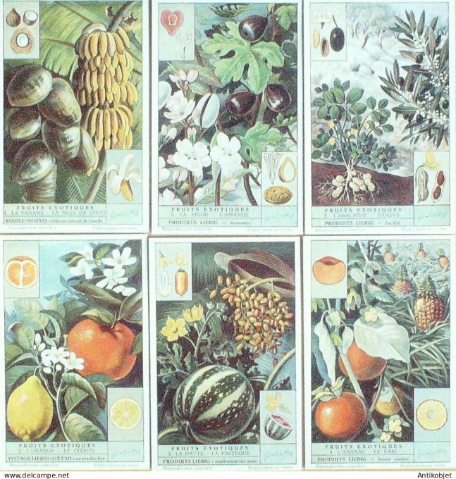 Chromo Liebig Sang 1537 Fruits exotiques (1952)