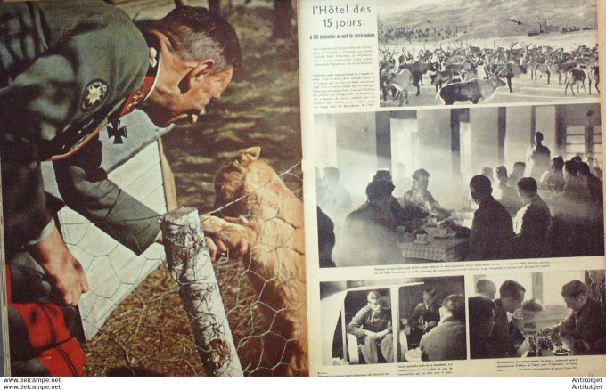 Revue Signal Ww2 1943 #  7