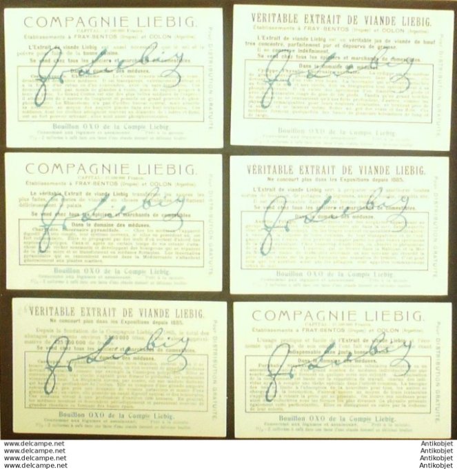 Chromo Liebig Sang  938 Dans Le domaine des meduses (1908)