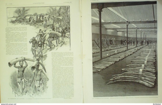 L'illustration 1896 n°2803 Anvers trompes d'éléphants Vienne Mariage Duc D’Orléans Avignon (84)