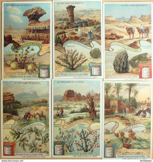 Chromo Liebig Sang  922 La Flore dans les deserts (1908)