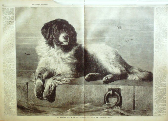 L'Univers illustré 1859 #  50 Grèce Athènes Pays-Bas Dordrecht Waal le coton
