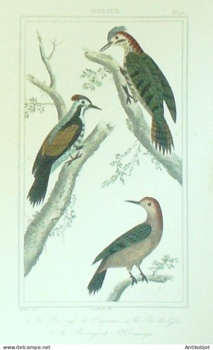 Pics rayés de St Domingue & Goa 1833 Vauthier-Buffon