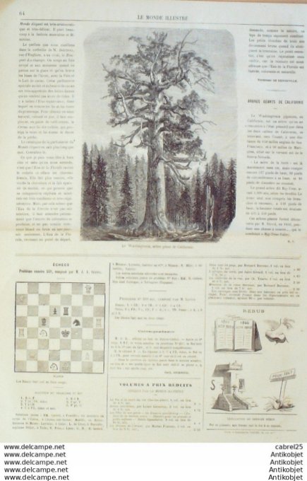 Le Monde illustré 1867 n°511 Autriche Tyrol Park Inde Kashmyr Algérie Blidah El Afroun Aix (13) Quin