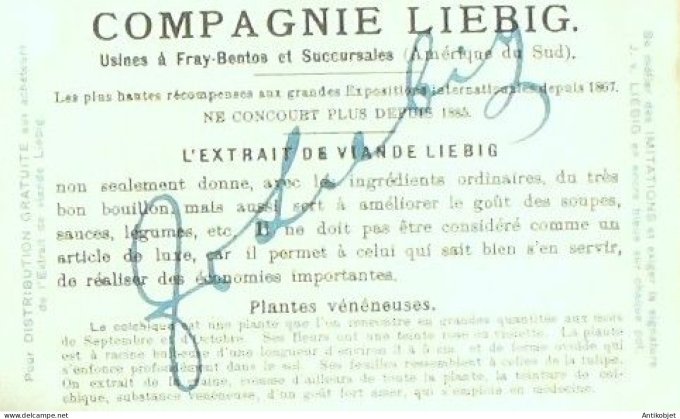 Chromo Liebig Sang  792 Plantes veneneuses III (1904)