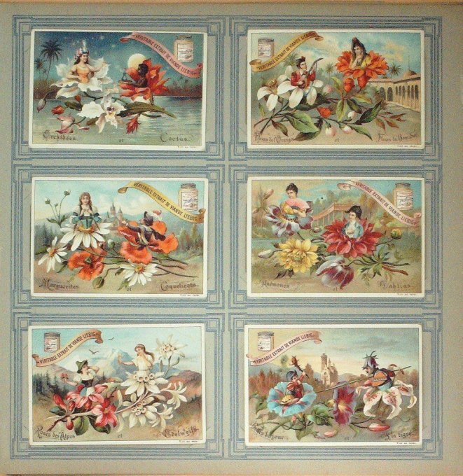 Fleurs Et Amourettes 1897