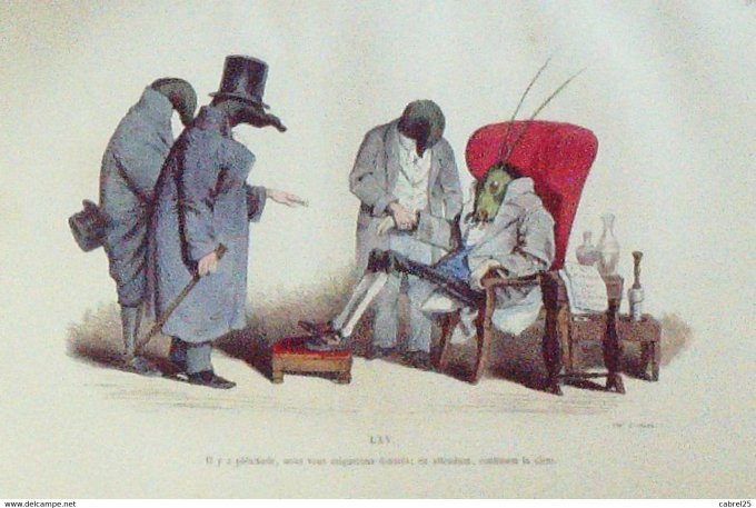 Grandville "Les Métamorphoses du jour" LXV Tapir Libellule 1847