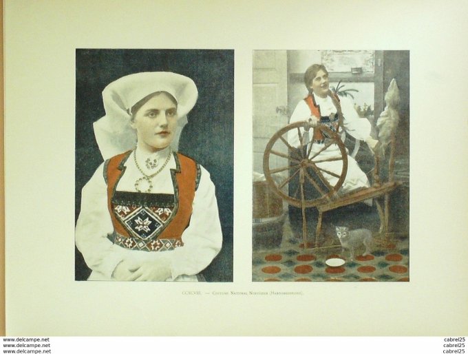 Norvège HARDANGERFIORD Norvégienne