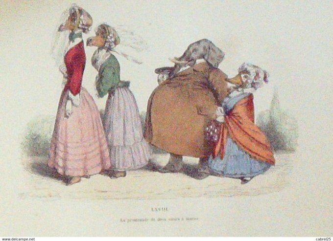 Grandville "Les Métamorphoses du jour" LXVIII Cheval Canard Elephant 1847