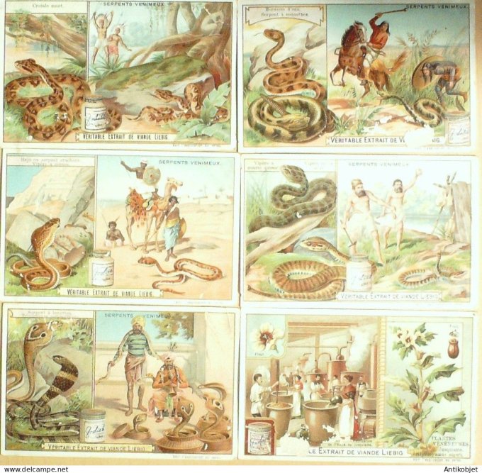 Chromo Liebig Sang  748 Serpents vénimeux (1903)