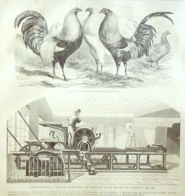 L'Univers illustré 1859 #  53 Suisse Berne Presse Marinoni Baron de Humboldt
