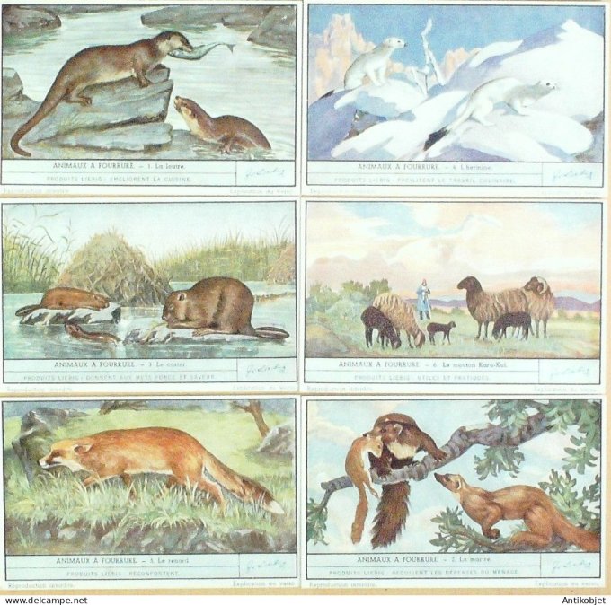 Chromo Liebig Sang 1486 Animaux a fourrure (1950)