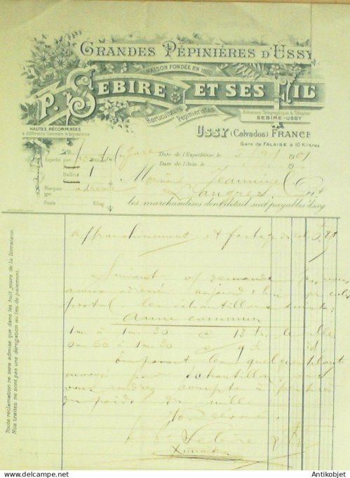 Facture P.Sebire & fils (pépinières) 1901 à Ussy (14)