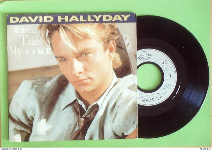 Hallyday David 45T SP Wanna take my time 1989