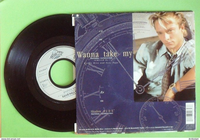 Hallyday David 45T SP Wanna take my time 1989