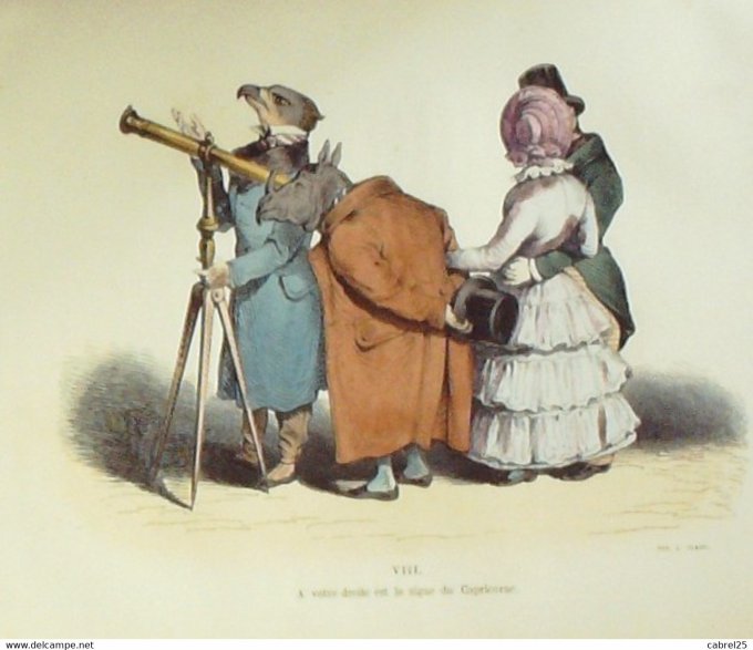 Grandville "Les Métamorphoses du jour" VIIIB Cheval Oiseau 1847