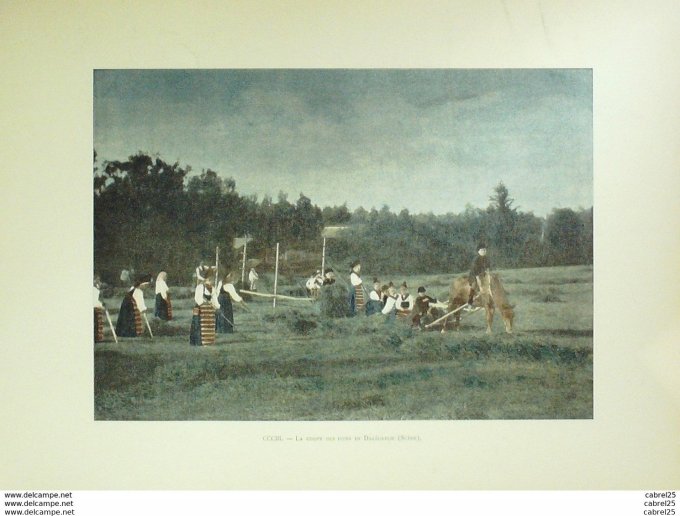 Suède DALECARLIE coupe des foins