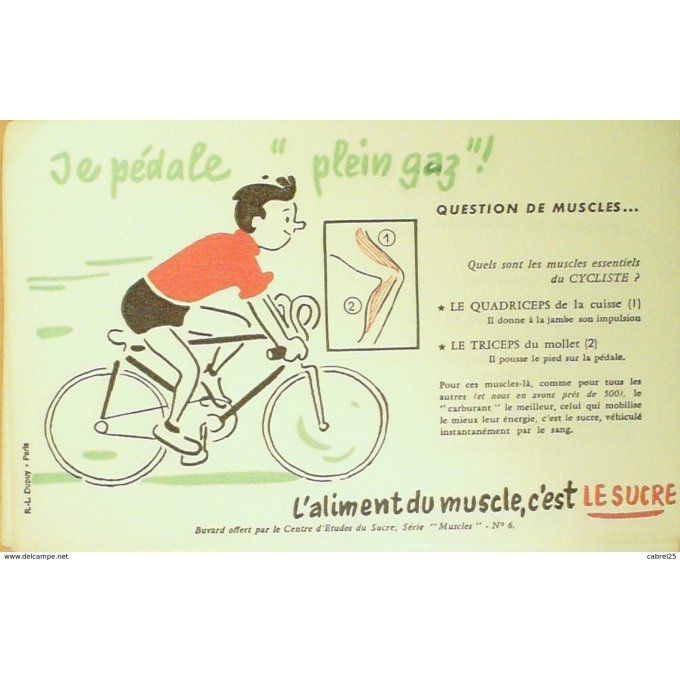 Buvard LE SUCRE CYCLISME Muscle