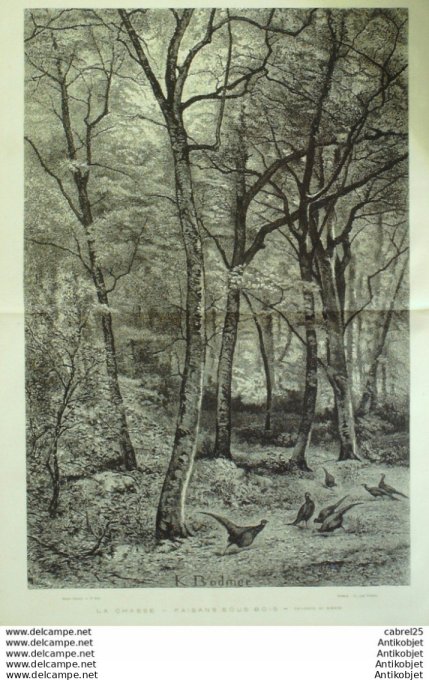 Le Monde illustré 1875 n°959 Nigaria Calabar Russie St-Pétersbourg Herzégovie Montenegro Belgique Br