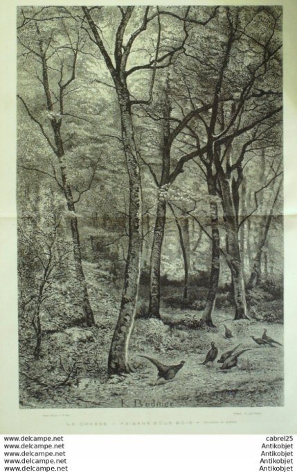 Le Monde illustré 1875 n°959 Nigaria Calabar Russie St-Pétersbourg Herzégovie Montenegro Belgique Br