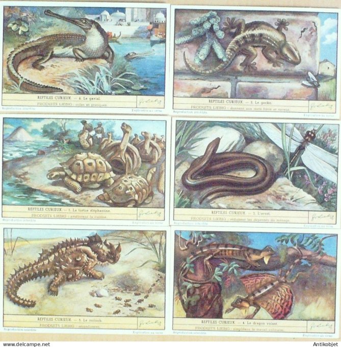 Chromo Liebig Sang 1482 Reptiles curieux (1949)