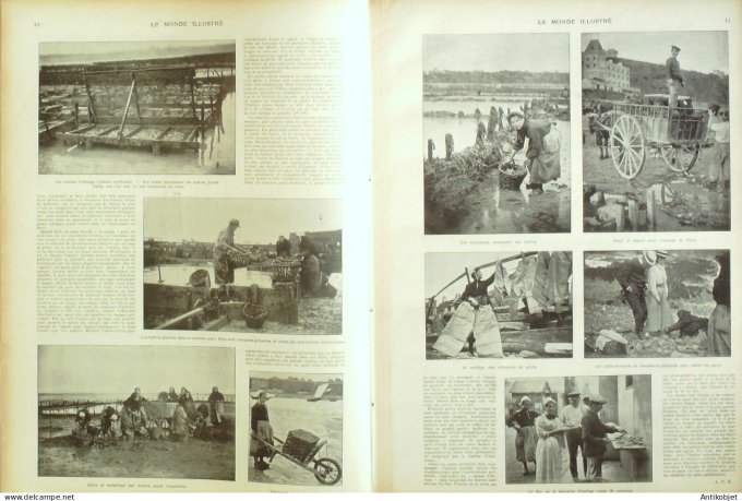 Le Monde illustré 1903 n°2388 Madrid Gibraltar Cancale (35) Avignon (84) Rome affaire Humbert