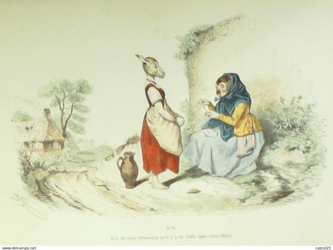Grandville "Les Métamorphoses du jour" XIX Agneau Chouette 1847