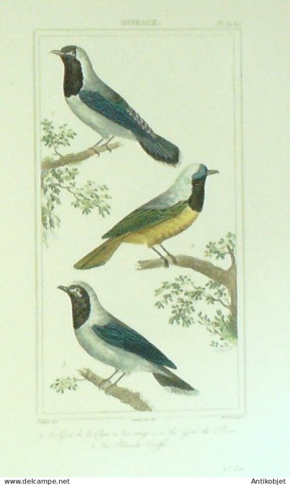 Blanche Coeffe Geais 1833 Vauthier-Buffon