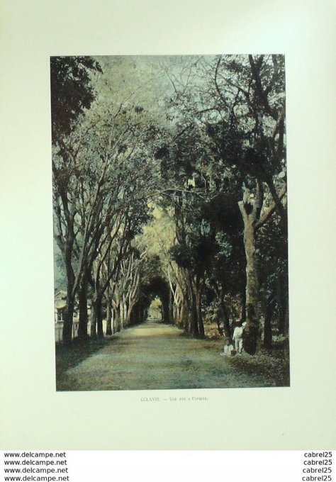 Polynésie PAPEETE artère