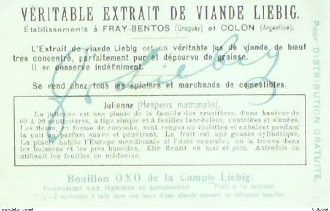 Chromo Liebig Sang  929 Fleurs nocturnes IV (1908)